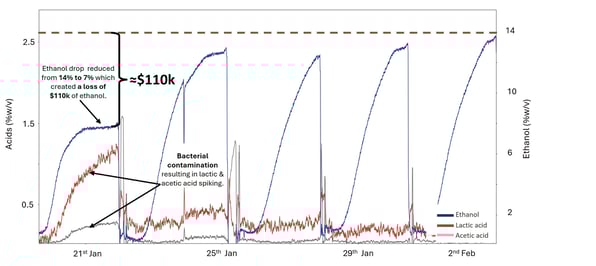 Concentration trace over five consecutive fermentations, showing the results of a bacterial infection in fermentation 1 with elevated lactic and acetic acid levels and reduced ethanol production.