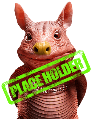 IRMA-inset-placeholder IRMA-inset-placeholder