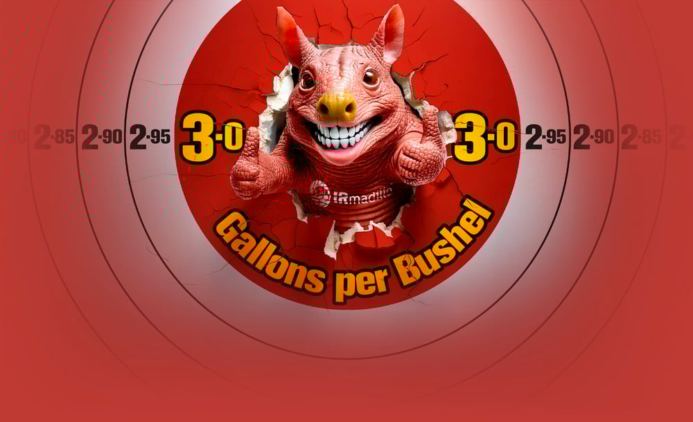 IRmadillo in ethanol IRmadillo in ethanol