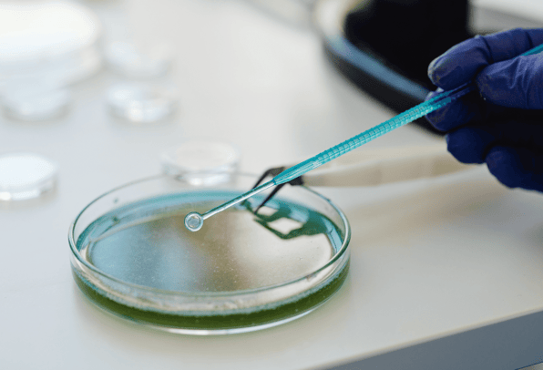 A scientist manually analysing a sample in an industrial lab to monitor for contamination in the absence of a spectrometer that provides detailed information.