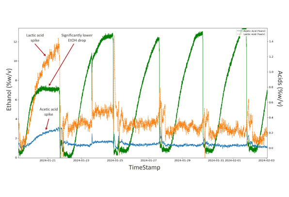 Concentration trace over five consecutive fermentations, showing the results of a bacterial infection in fermentation 1 with elevated lactic and acetic acid levels and reduced ethanol production.