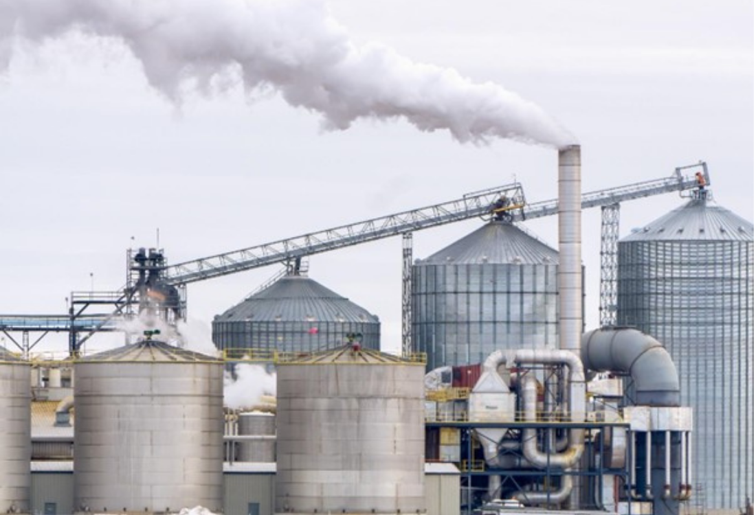 The IRmadillo in the Liquefaction Process